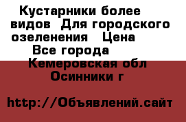 Кустарники более 100 видов. Для городского озеленения › Цена ­ 70 - Все города  »    . Кемеровская обл.,Осинники г.